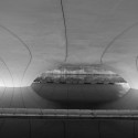 Spencer Dock Bridge / Amanda Levete Architects © Gidon Fuehrer