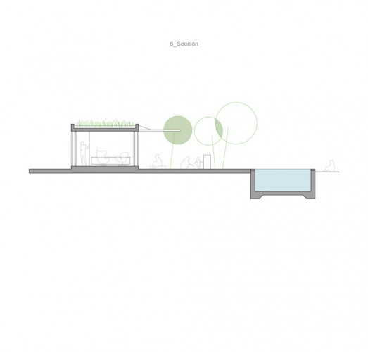 section