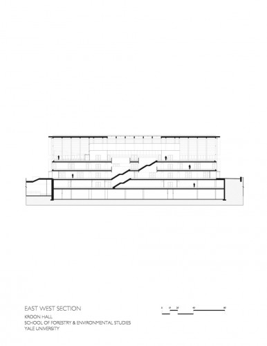 section