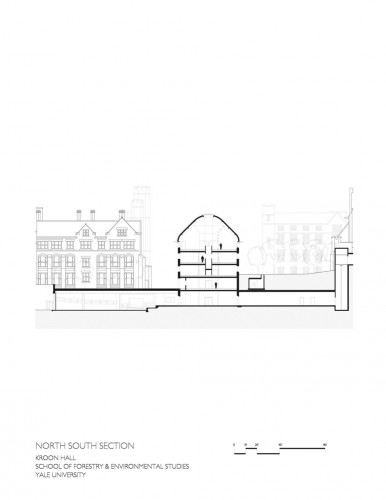section