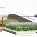 water garden diagram water garden diagram