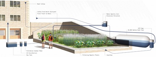 water garden diagram