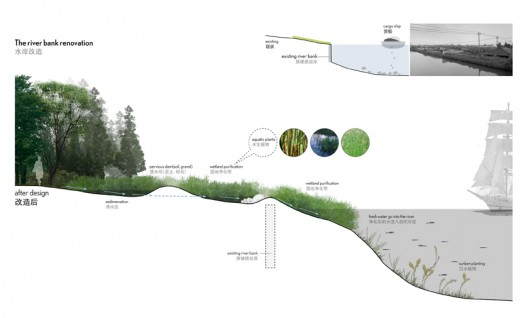 logon Qingpu wetland_river bank renovation