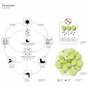 logon SQN_ecosystem logon SQN_ecosystem Courtesy of logon architecture