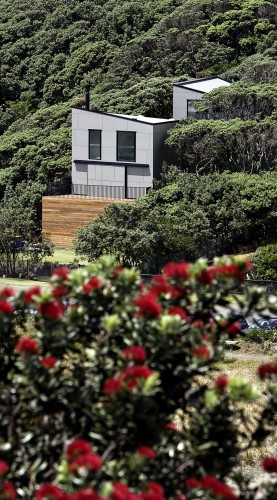 The Pohutukawa House / Matthew Gribben Architecture