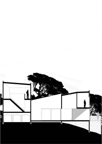 section 01
