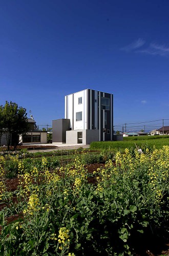 Overlapping Ears Of Rice / StudioGreenBlue