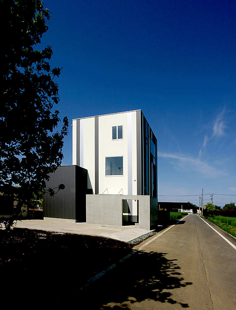 Overlapping Ears Of Rice / StudioGreenBlue