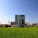 Overlapping Ears Of Rice / StudioGreenBlue Overlapping Ears Of Rice / StudioGreenBlue © StudioGreenBlue