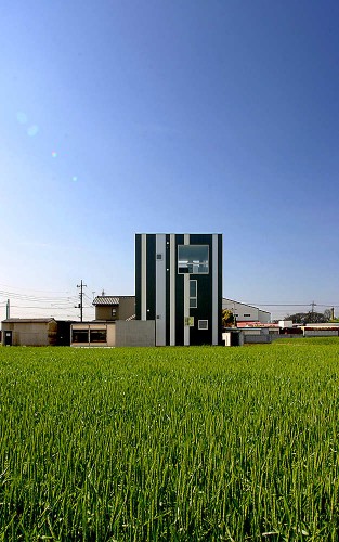 Overlapping Ears Of Rice / StudioGreenBlue