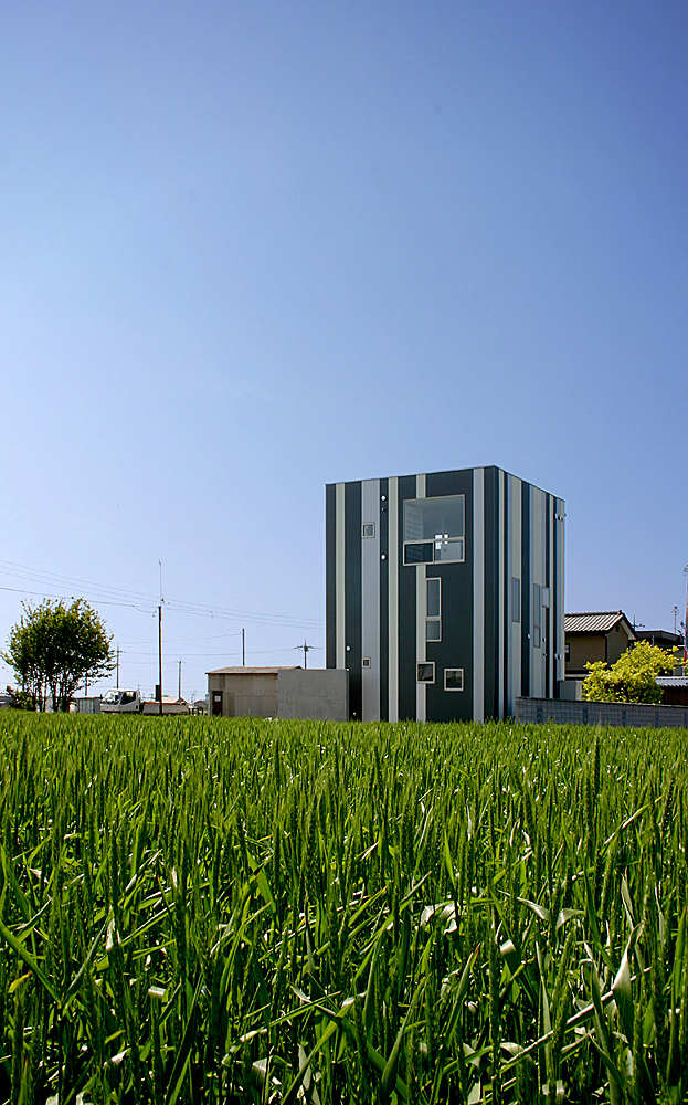 Overlapping Ears Of Rice / StudioGreenBlue