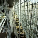 Winnipeg Library Addition / Patkau Architects and LM Architectural Group James Dow / Patkau Architects