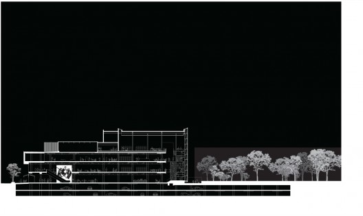 section