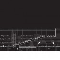 section section