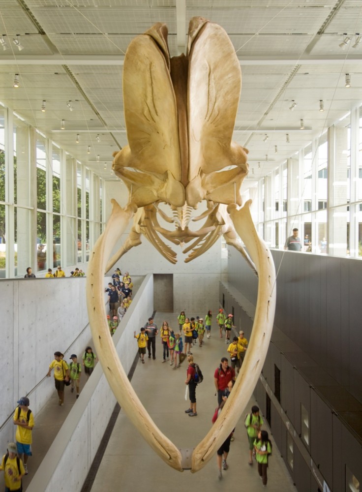 Beaty Biodiversity Center and Aquatic Ecosystems Research Laboratory / Patkau Architects