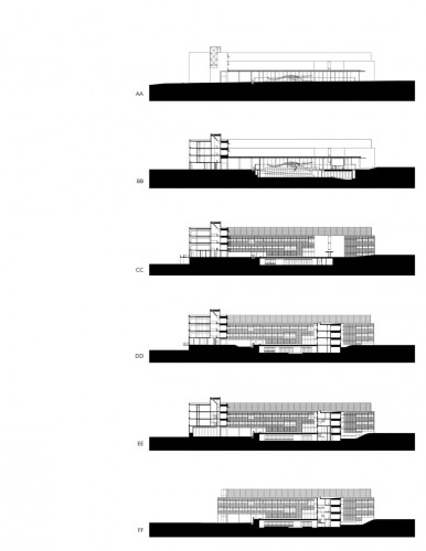 section