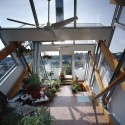 Urban Biophillic Pavilion / studio d’ARC