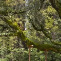Creekside Residence / Bohlin Cywinski Jackson Creekside Residence / Bohlin Cywinski Jackson © Nic Lehoux