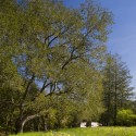 Dry Creek Outbuildings / Bohlin Cywinski Jackson Dry Creek Outbuildings / Bohlin Cywinski Jackson © Nic Lehoux