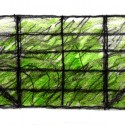 window sketch window sketch window sketch