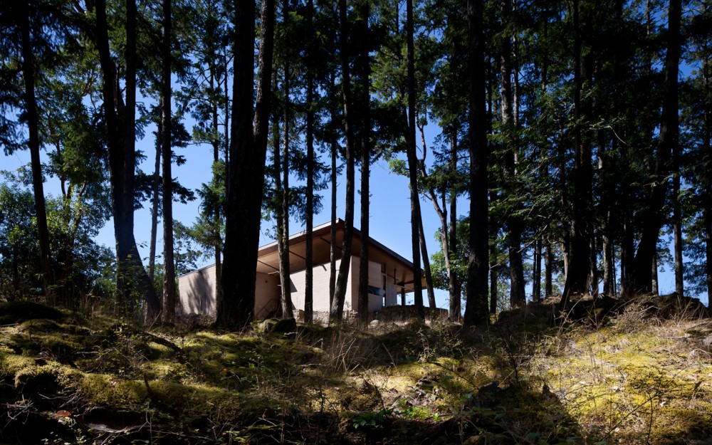 Loop Residence / Heliotrope Architects