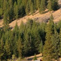 Miner's Refuge / Johnston Architects Miner's Refuge / Johnston Architects © Will Austin Photography