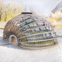 The Ark The Ark winter