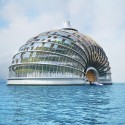 The Ark The Ark sea