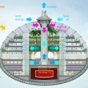 The Ark The Ark summer cross section