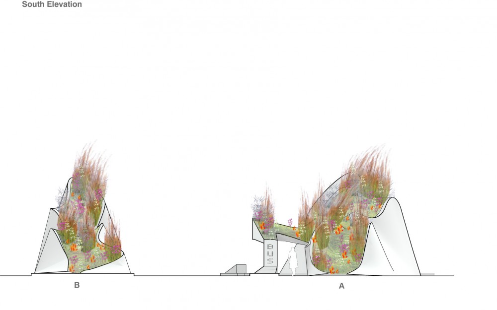 Median Berms / Endemic Architecture