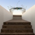 Ospre Nest / Jones Studio