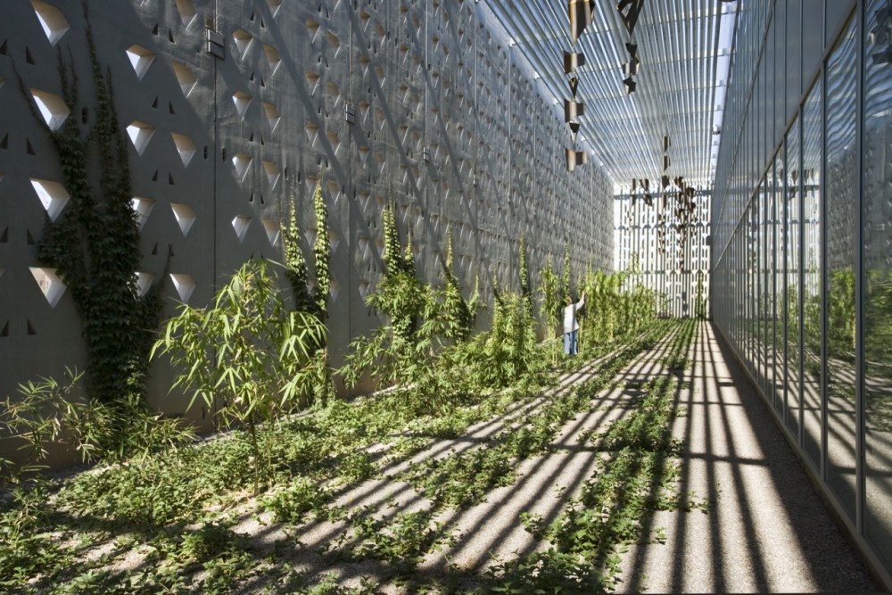 ISTB3 / Jones Studio