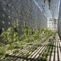 ISTB3 / Jones Studio