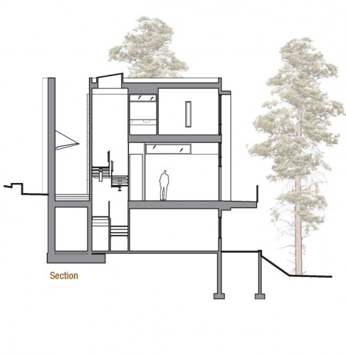 section