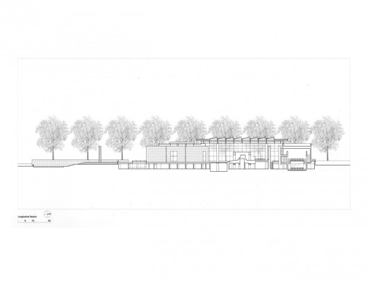 section
