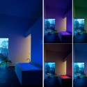 YN-13 / Morris Sato Studio © Matthew Carbone