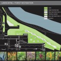 landscaping landscaping landscaping