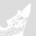 site plan site plan