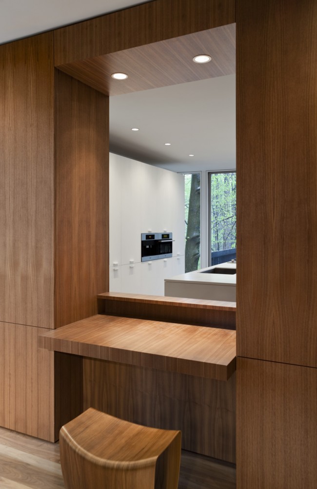 Record House Revisited / David Jameson Architect