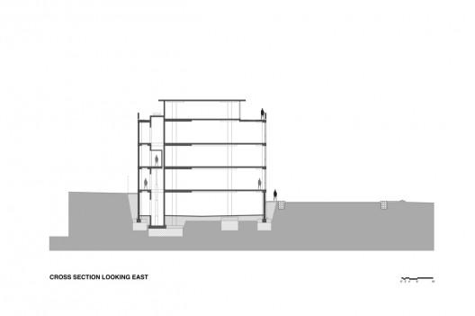 section