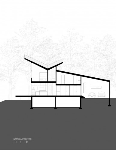 section