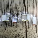 Dental INN / Stasek