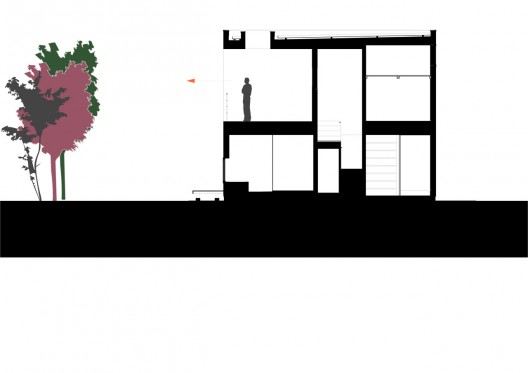 section