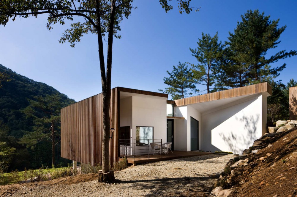 Forest’s Quintet / Chiasmus Partners