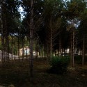 Forest’s Quintet / Chiasmus Partners © Young-chae Park