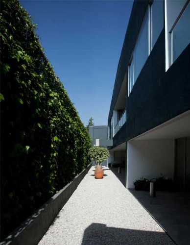 Corporativo Bayon / dcpp arquitectos