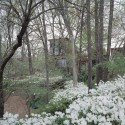Arkansas House / Marlon Blackwell Architect © Tim Hursley