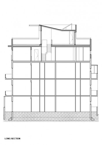 long section