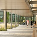 Hennepin County Library Maple Grove / Meyer, Scherer & Rockcastle © Lara Swimmer Photography