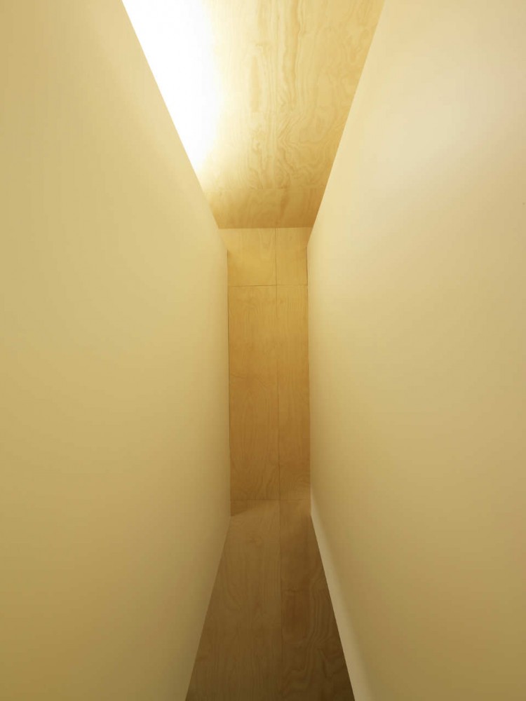 House Shmukler / Tribe Studio Architects